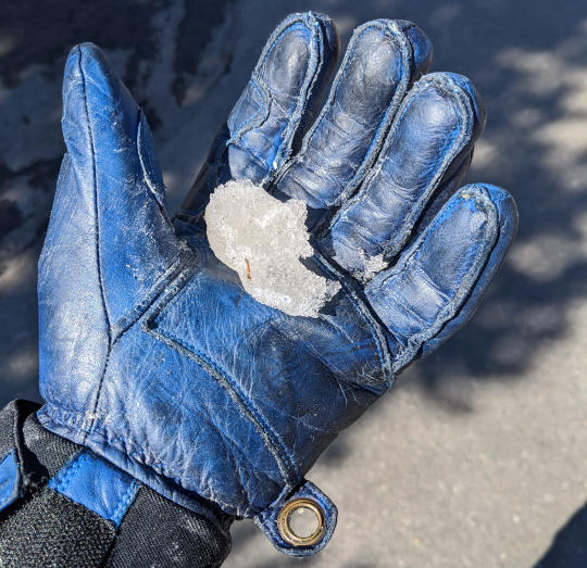 Blue glove holding snow