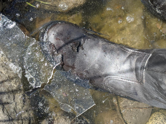 Boot dunked in water